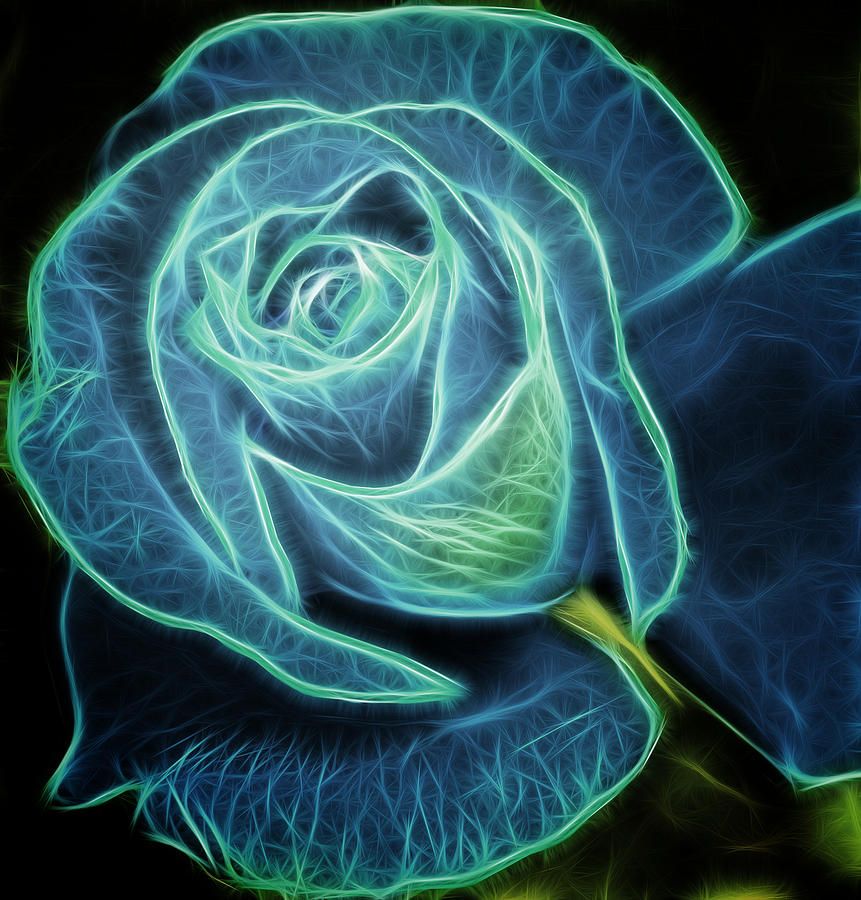 Anam Cara ~ Soul Friend ~ Poetry Collaboration By Amber and&nbsp;Eleanor