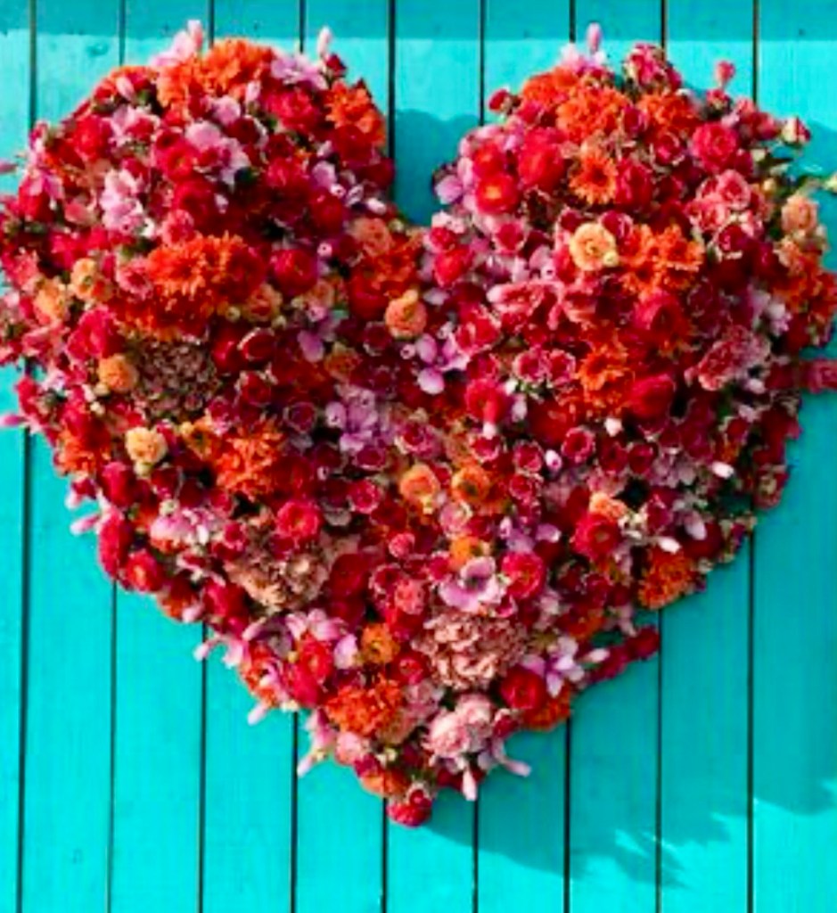 The Disappearing Roses